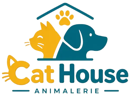 logo site web